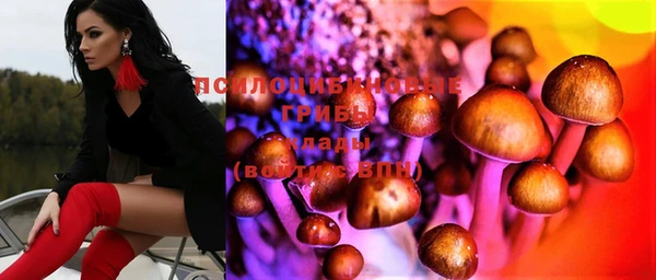 гидропоника Кулебаки