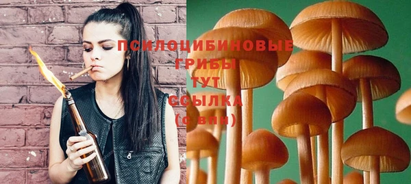 гидропоника Кулебаки