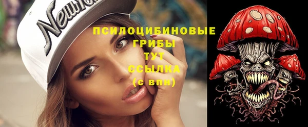 гидропоника Кулебаки