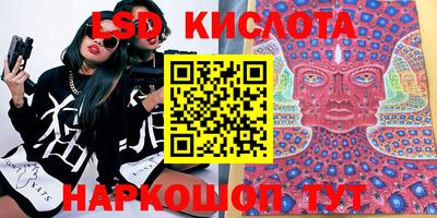 сатива Кимры