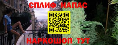 сатива Кимры
