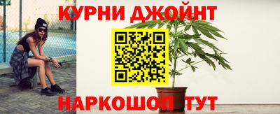 ГАЛЛЮЦИНОГЕННЫЕ ГРИБЫ Кингисепп