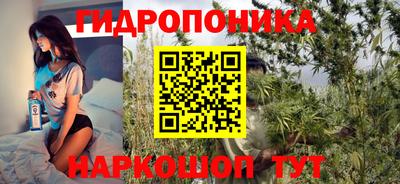сатива Кимры