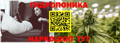 сатива Кимры