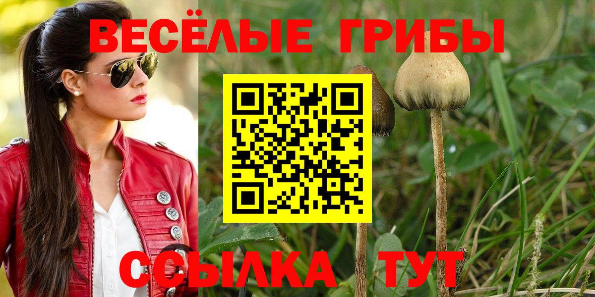 Галлюциногенные грибы мицелий  Галлюциногенные грибы ЛСД  Вход с VPN  Скопин 