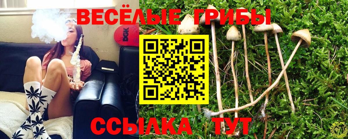 Псилоцибиновые грибы Psilocybe Скопин